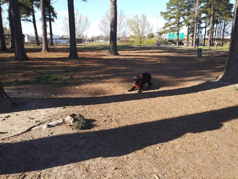 Benson Dog Park - Image 1
