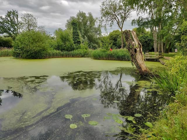 Willows Nature Reserve - Image 1
