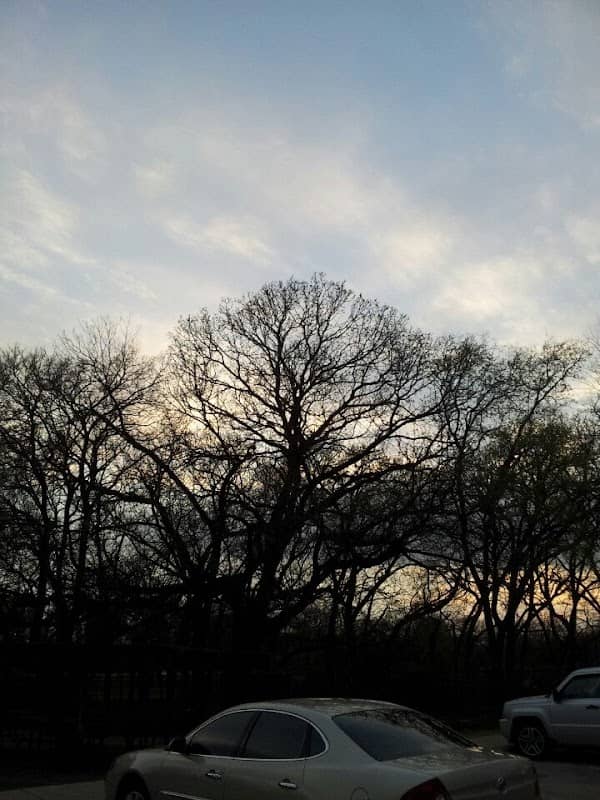 Northwood Park - Image 1