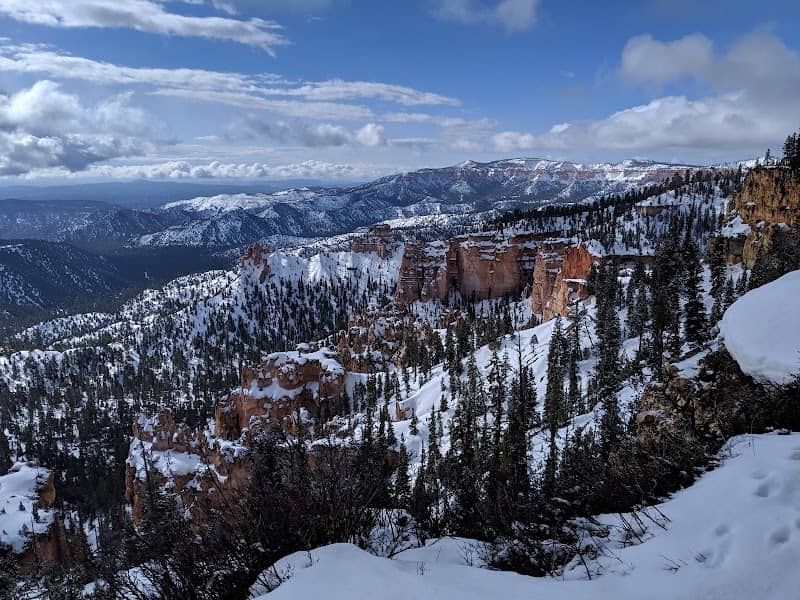 Swamp Canyon Overlook - Image 2