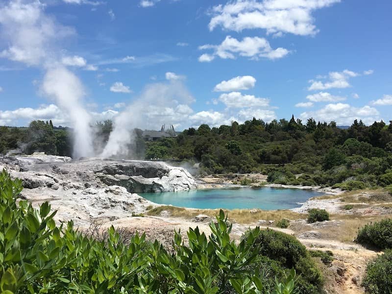 Geothermal Valley Te Puia - Image 1