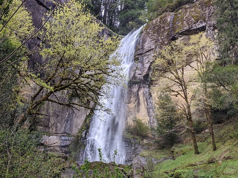 Golden And Silver Falls State Natural Area - Image 2