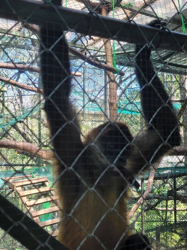 Sibu Wildlife Sanctuary - Image 3
