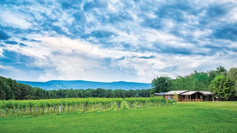 Mount Nittany Vineyard and Winery - Image 1