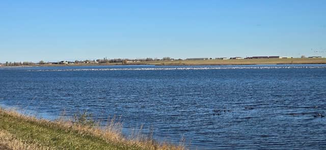 Carlson Waterfowl Production Area-Divide County - Image 2