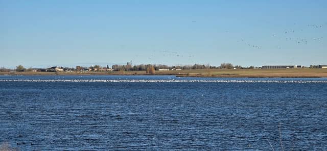 Carlson Waterfowl Production Area-Divide County - Image 1