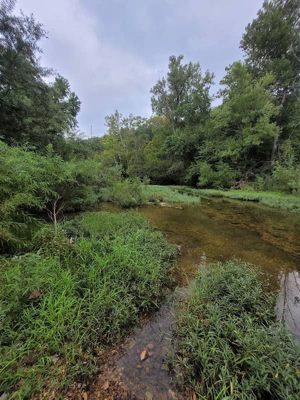 Ritcher Park - Image 1