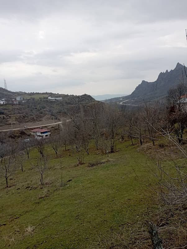 Şebinkarahisar - Image 3