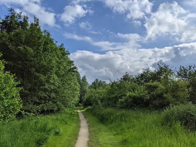 St Julian's Community Woodland - Image 1