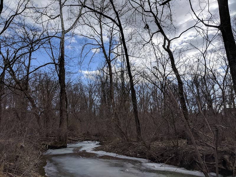 Chapman DeMary Trail - Image 2