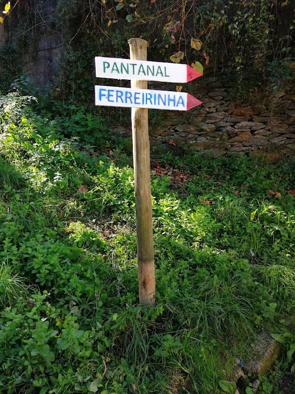 Trilho do Pantanal - Image 1