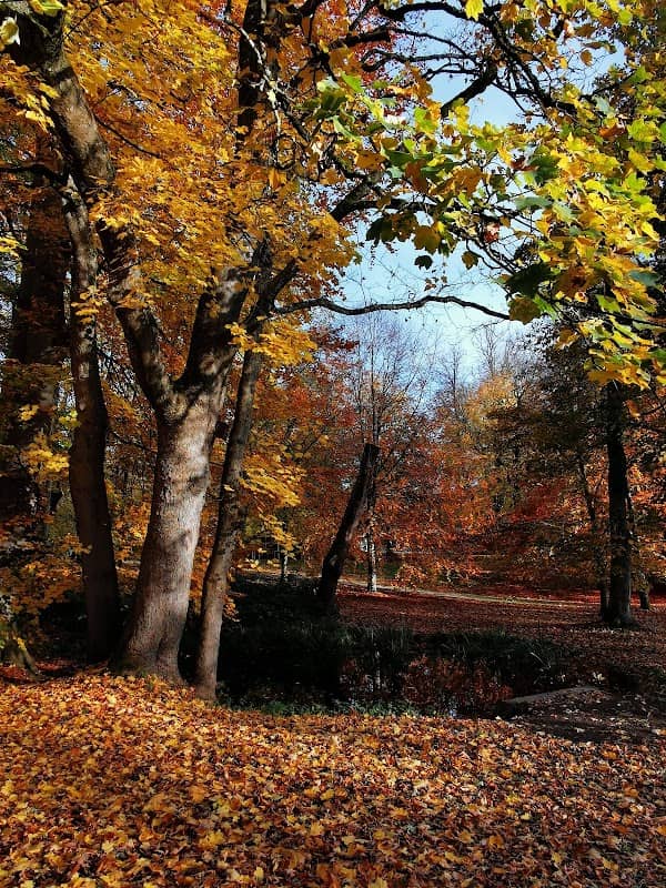 Christiansen Park - Image 2