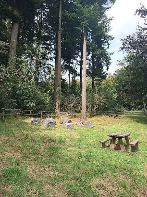 Llwyn Hir Modern Stones Circles - Image 2