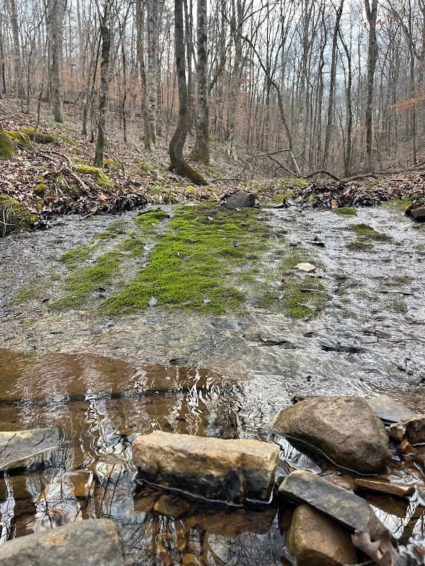 Big Canoe Creek Nature Preserve - Image 1