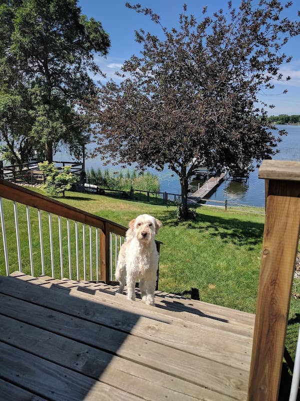 Little Floyd Lake - Image 1