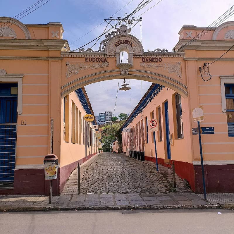 Avenida Eudóxia Canedo - Image 1