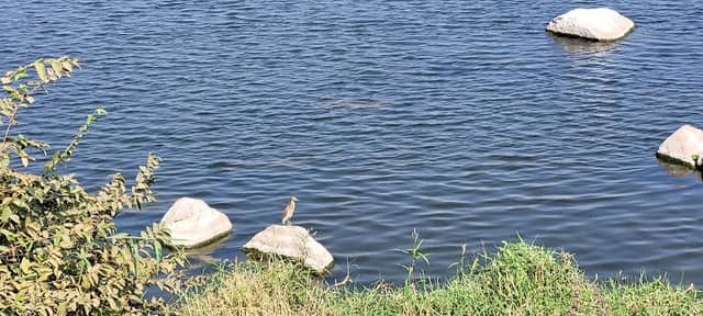 Ameenpur Lake View Point - Image 2