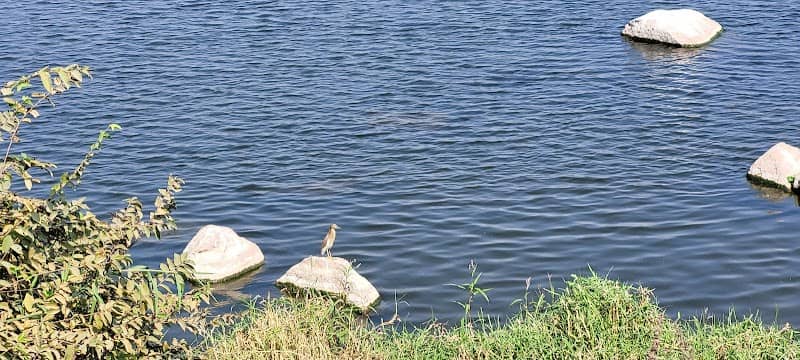 Ameenpur Lake View Point - Image 2