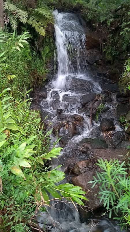 Cachoeirinha zen - Image 1