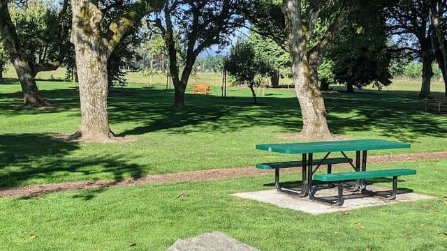 Guild - Klady Centennial Park - Image 2