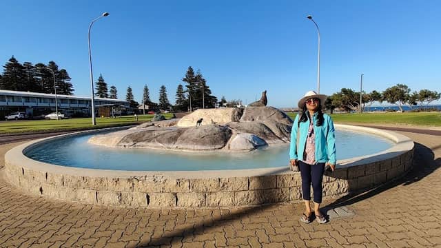 Rotary Wishing Well - Image 1