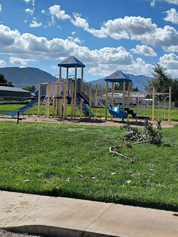 Sheltie Morgan Park - Image 1