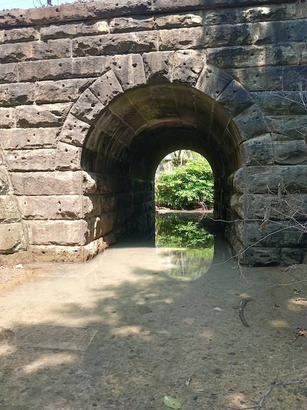 Wells Run Outflow - Image 1