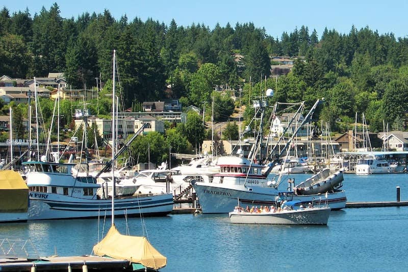 Destiny Harbor Tours - Image 2