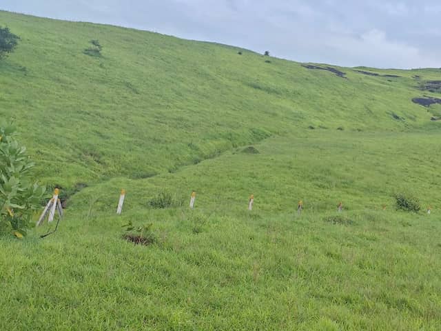 Balaji Landmark - Image 1