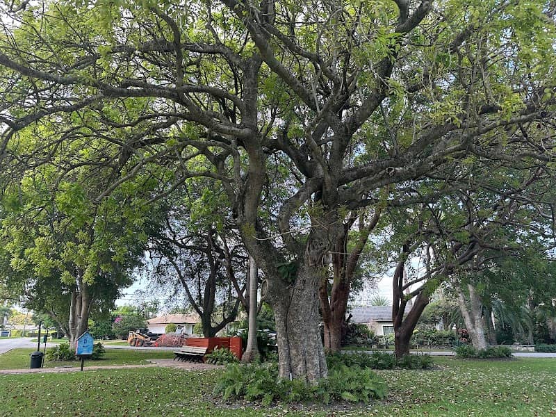 Lieber Park - Image 1