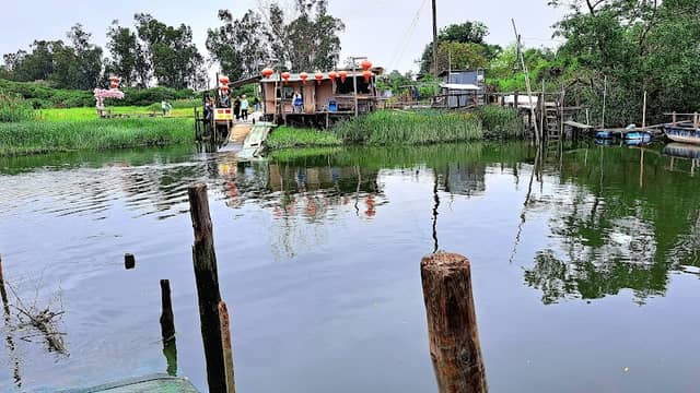 Nam Sang Wai - Image 1