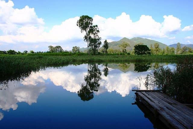 Nam Sang Wai - Image 2