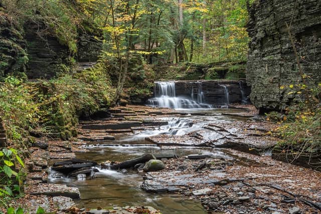 Fillmore Glen State Park - Image 2