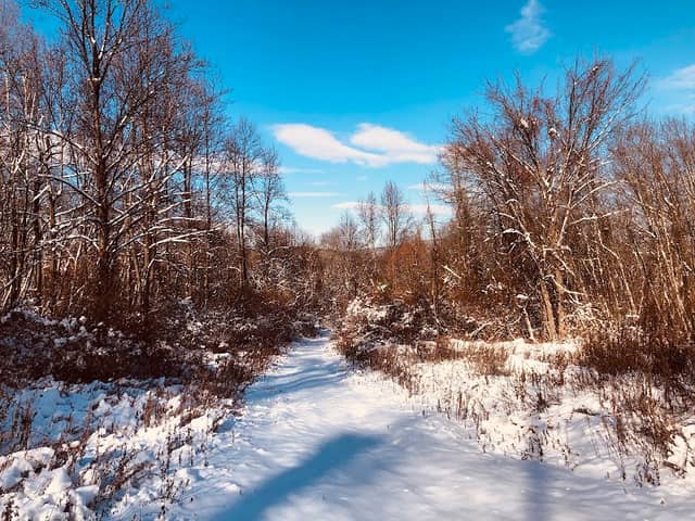 Shabbecong Mountain Preserve Trail Head - Image 2
