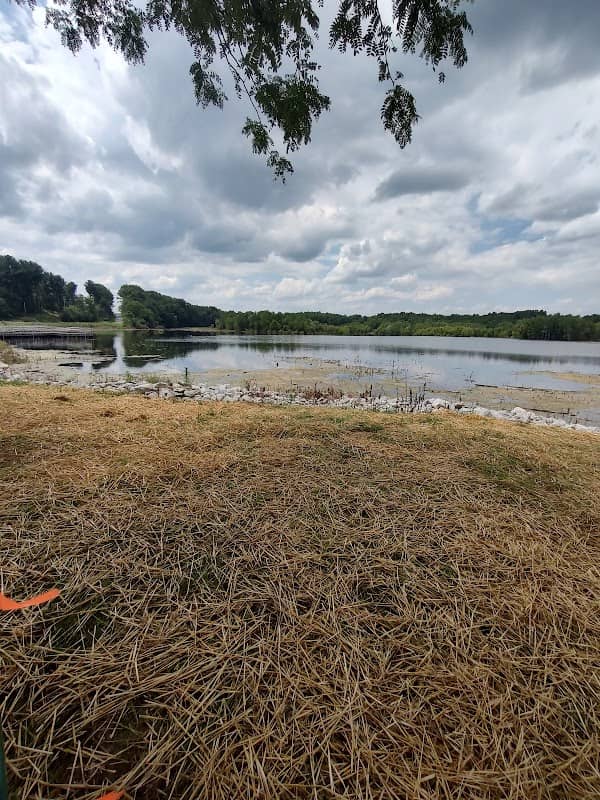 Shreve Lake Wildlife Area - Image 3