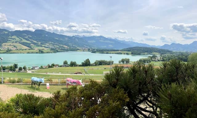 Mirador Lac de Gruyère - Image 1