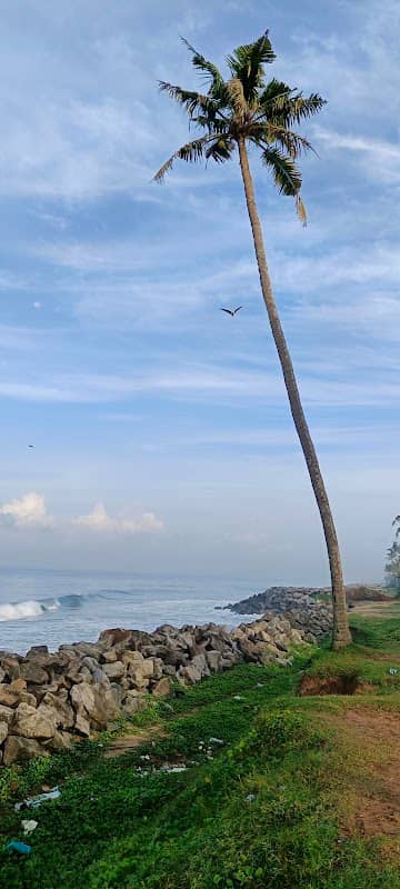 Thani View Point - Image 1