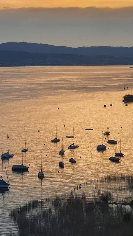 Seebucht Stäfa - Image 2