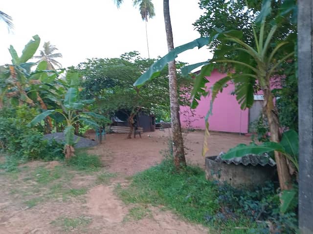 Selling land - Image 1