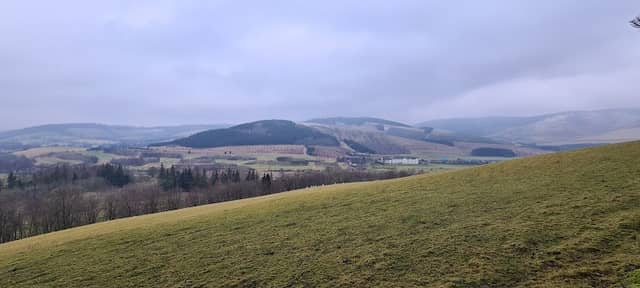 Cardrona Forest - Image 1