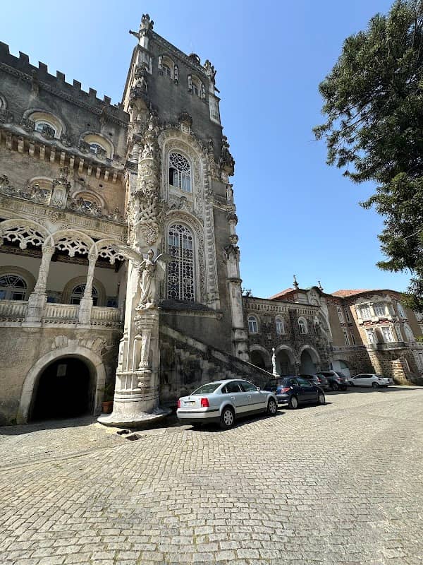 Jardim da Mata do Bussaco - Image 3