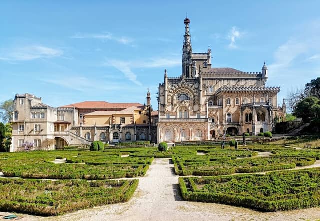 Jardim da Mata do Bussaco - Image 1