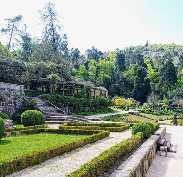 Jardim da Mata do Bussaco - Image 2
