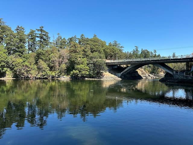 Reversing Falls - Image 1