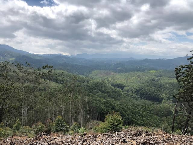 Ella Rock View Point - Image 1