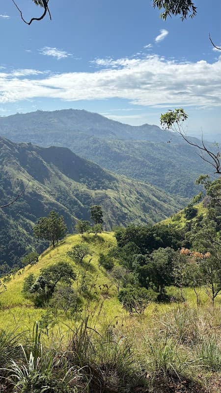 Ella Rock View Point - Image 2