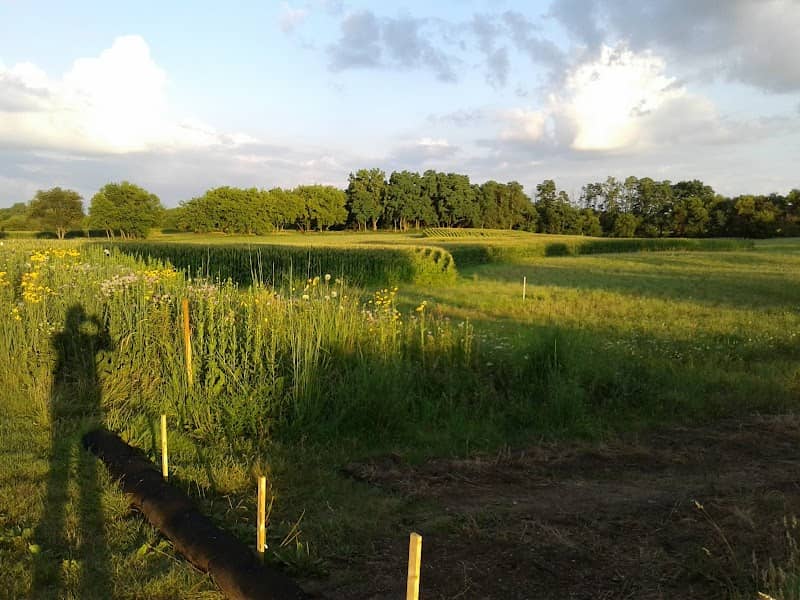 Hoffman Park - Image 1