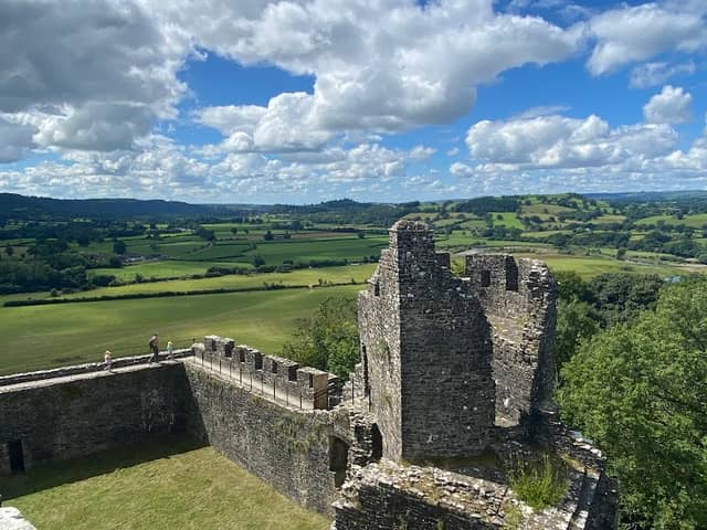 Castell Dinefwr - Image 2