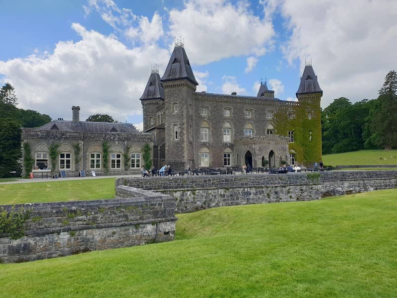 Castell Dinefwr - Image 3