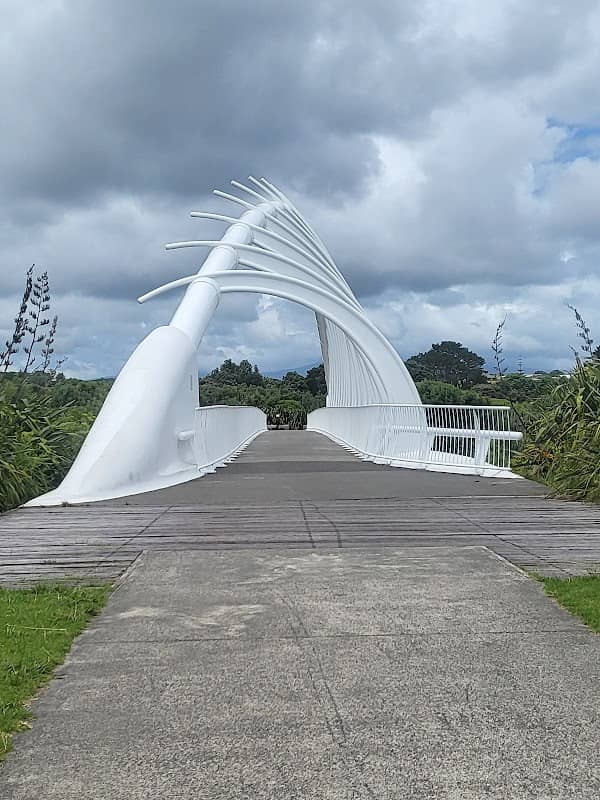 New Plymouth Coastal Walkway - Image 1